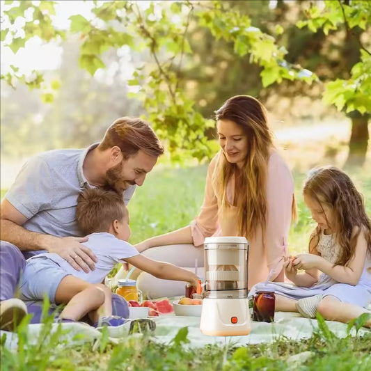 Extractor Fully Automatic Fruit Juicer